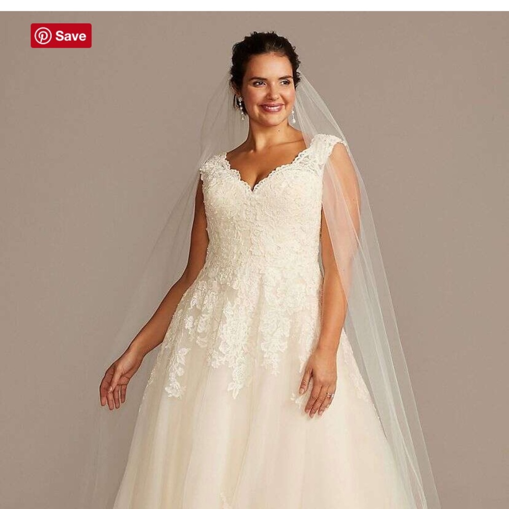 David’s bridal wedding dress (26 W)